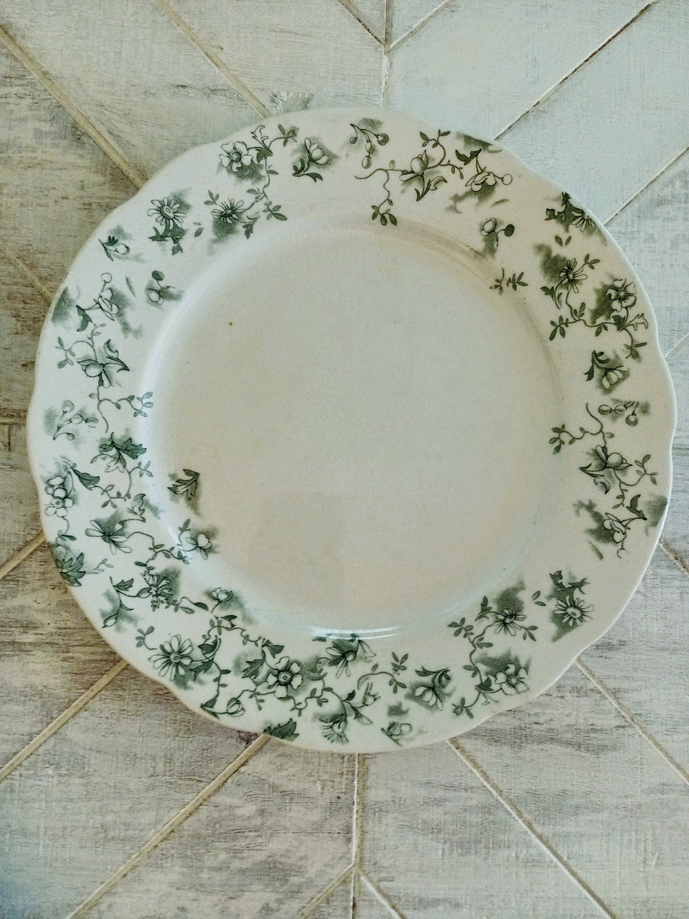 Rigeways Royal Dinner Plate with Green Floral Border